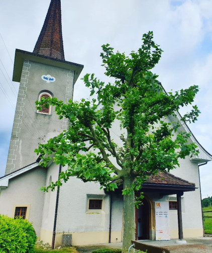 Temple d'Orzens (©Matthias Wirz)